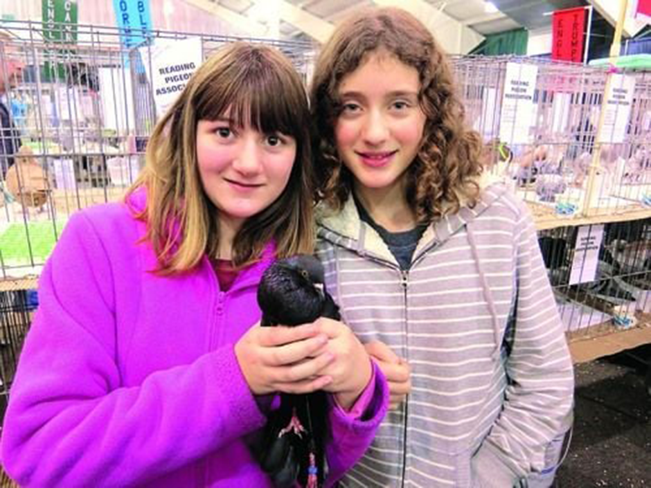 Two girls standing next to each other, one holding a pigeon.